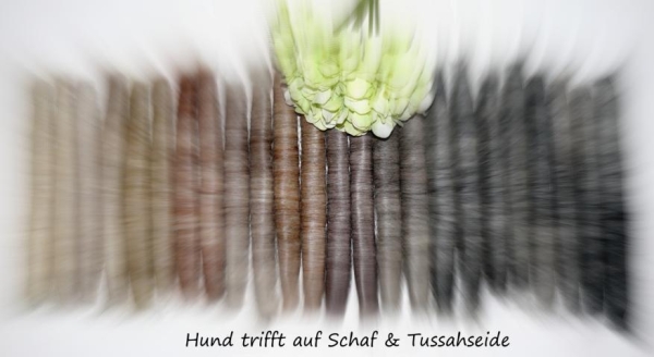 UNIKAT Rolag Adventskalender * Hund trifft auf Tussahseide & Merino * edel